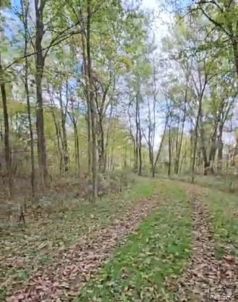 37 Risch Road Webberville Village MI 48892
