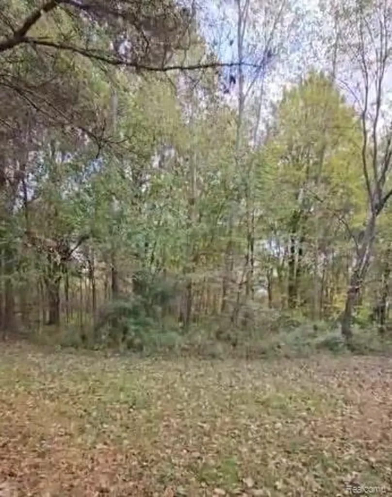 37 Risch Road Webberville Village MI 48892