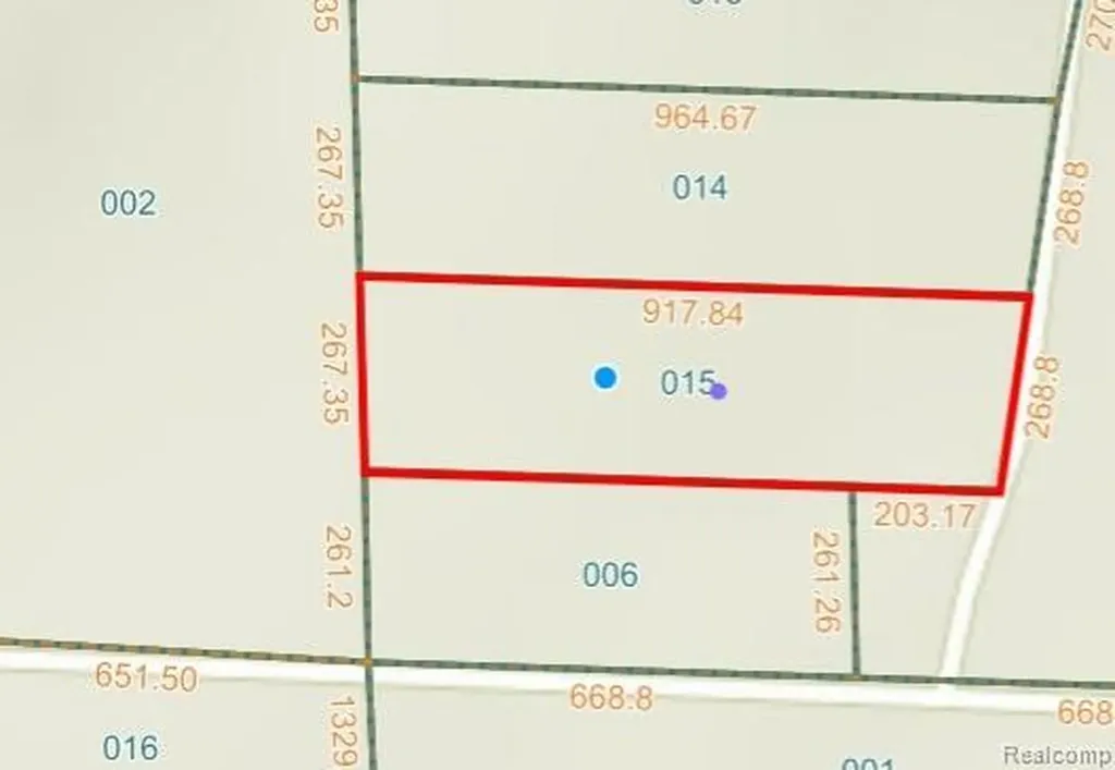 37 Risch Road Webberville Village MI 48892