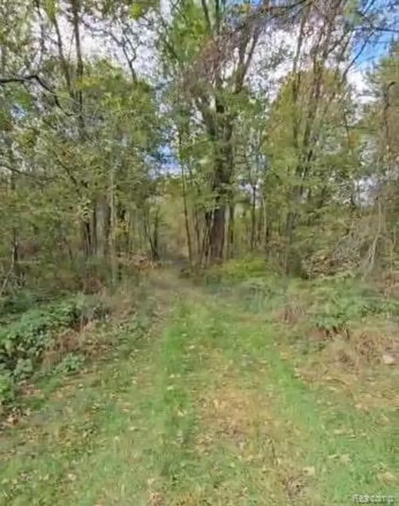 37 Risch Road Webberville Village MI 48892