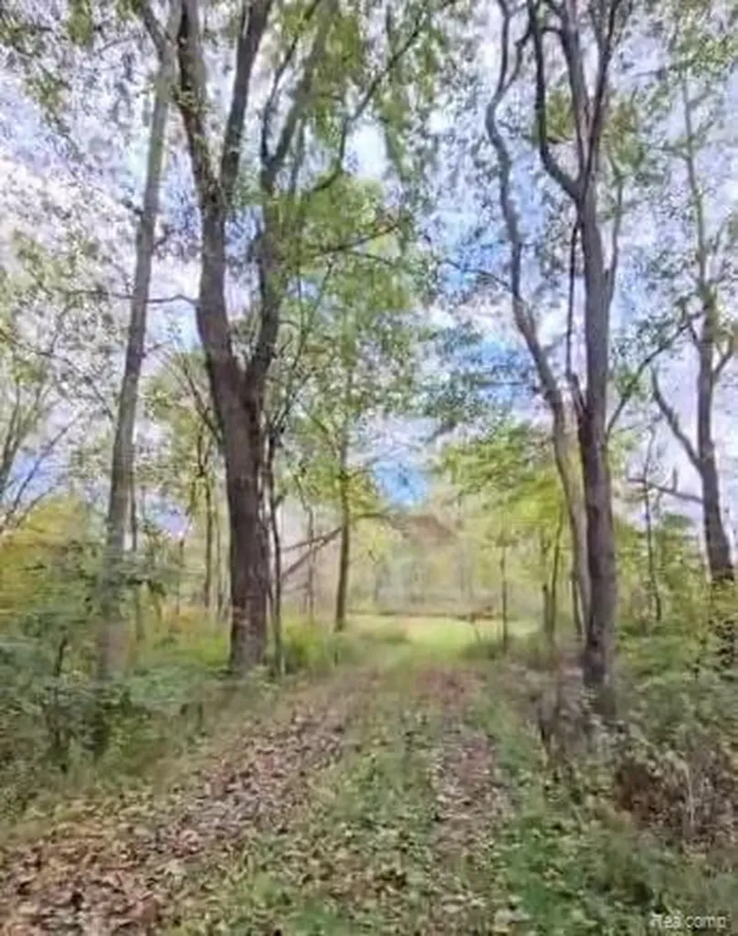 37 Risch Road Webberville Village MI 48892