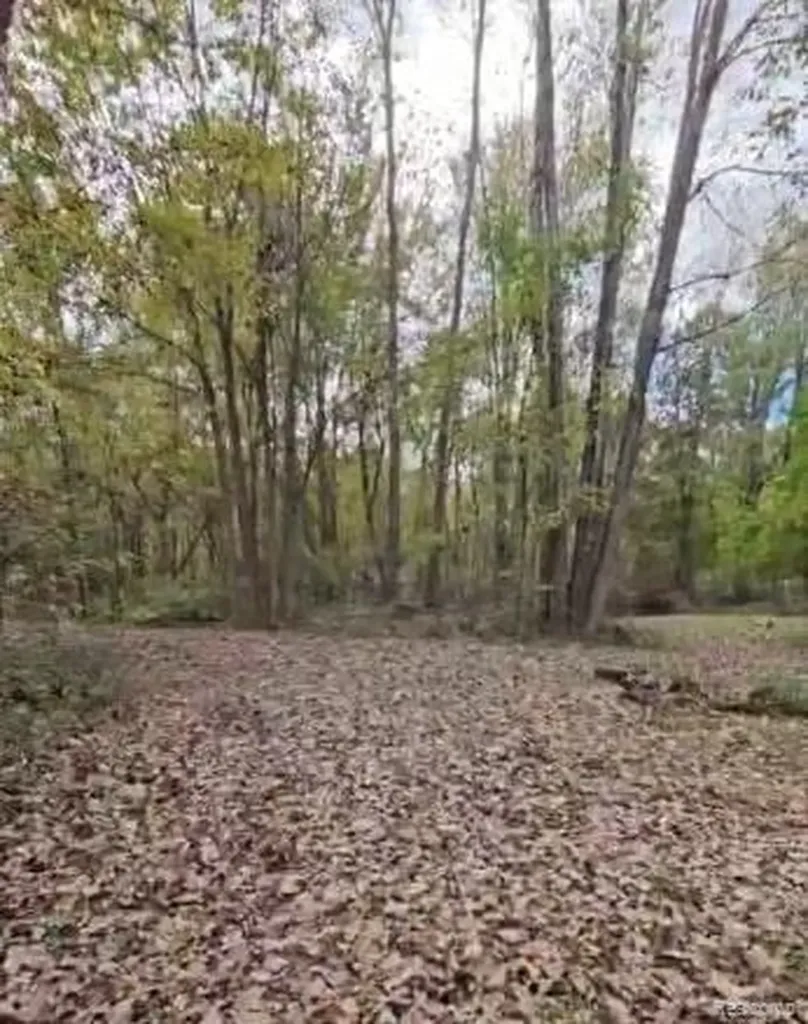 37 Risch Road Webberville Village MI 48892