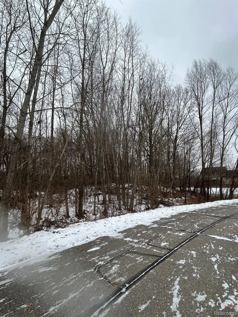 00 Brandi Lane Handy Township MI 48836