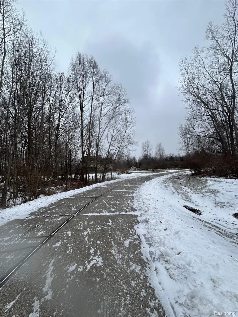 00 Brandi Lane Handy Township MI 48836