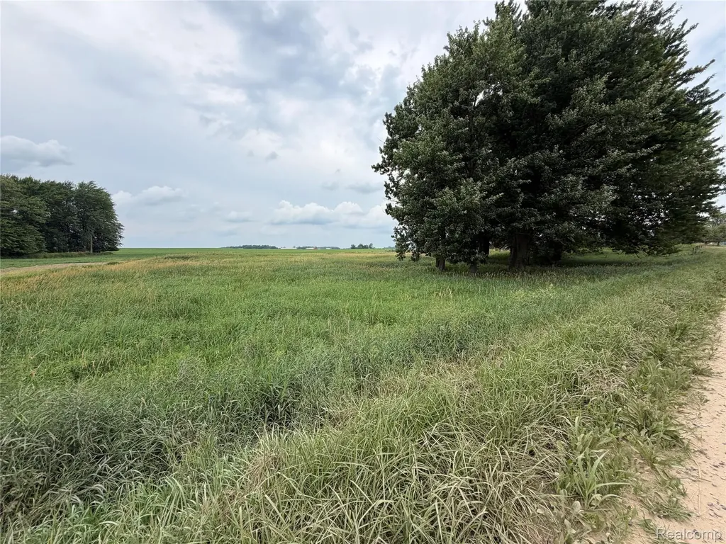 4126 Montgomery Marlette City MI 48453