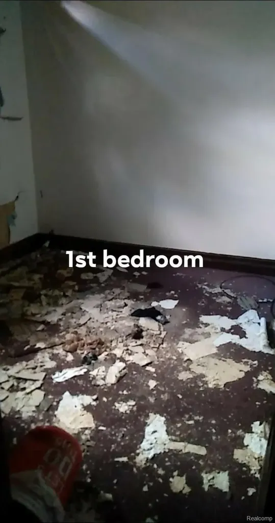 3489 Seyburn Street Detroit City MI 48214