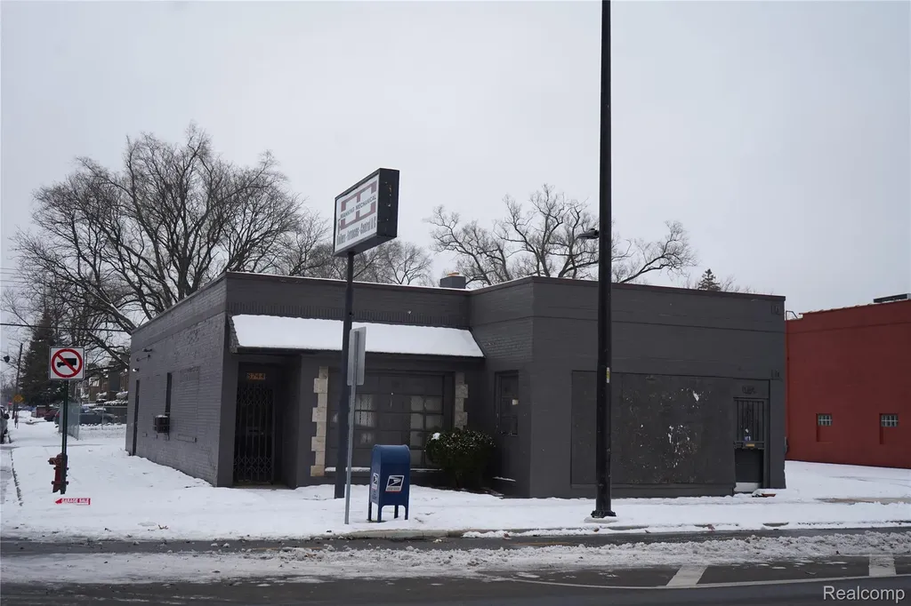 8744 W Mcnichols Road N Detroit City MI 48221