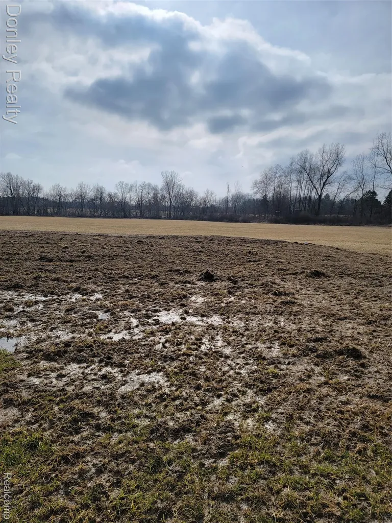 6750 Lanway Road Koylton Township MI 48741