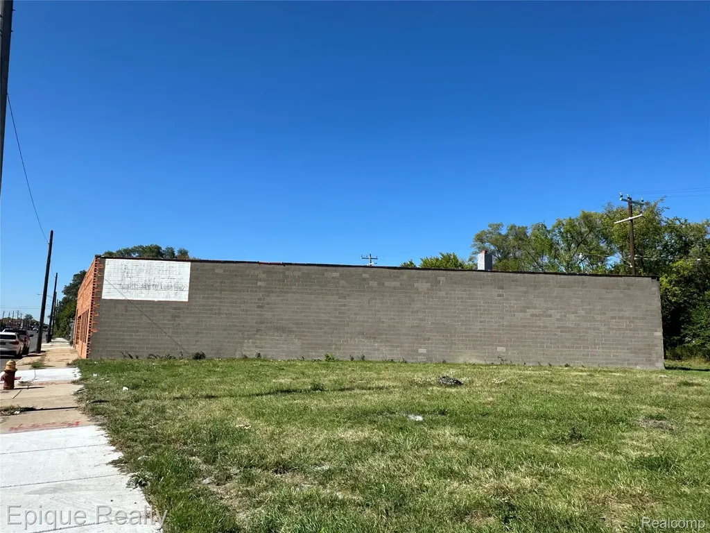5431, 5419 & 5420 E Davison Street E Detroit City MI 48212