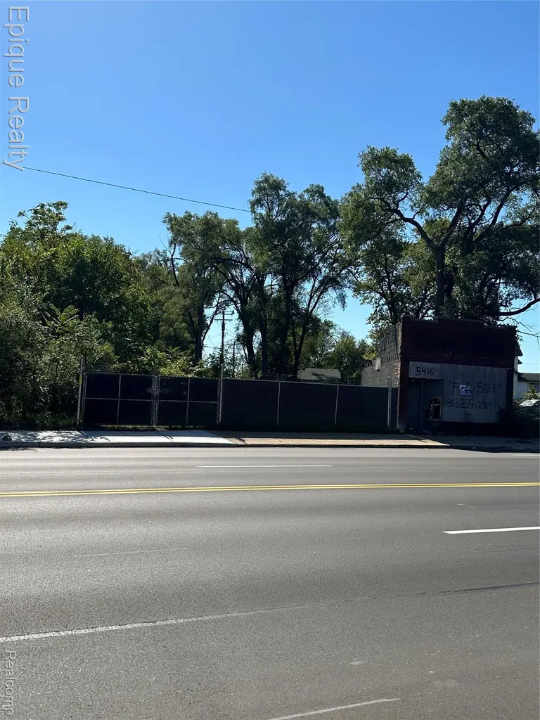 5431, 5419 & 5420 E Davison Street E Detroit City MI 48212