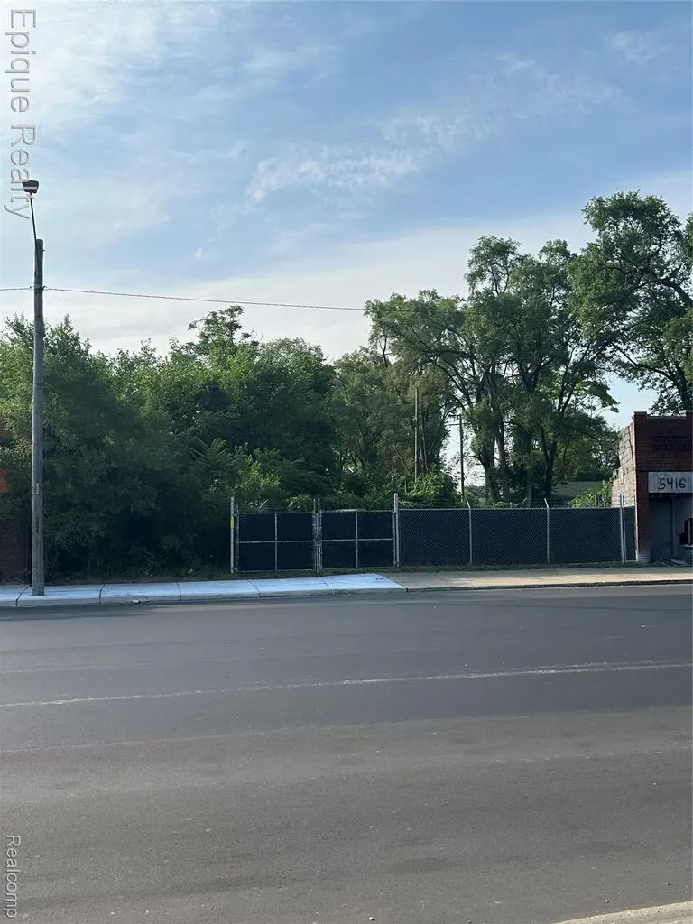 5431, 5419 & 5420 E Davison Street E Detroit City MI 48212