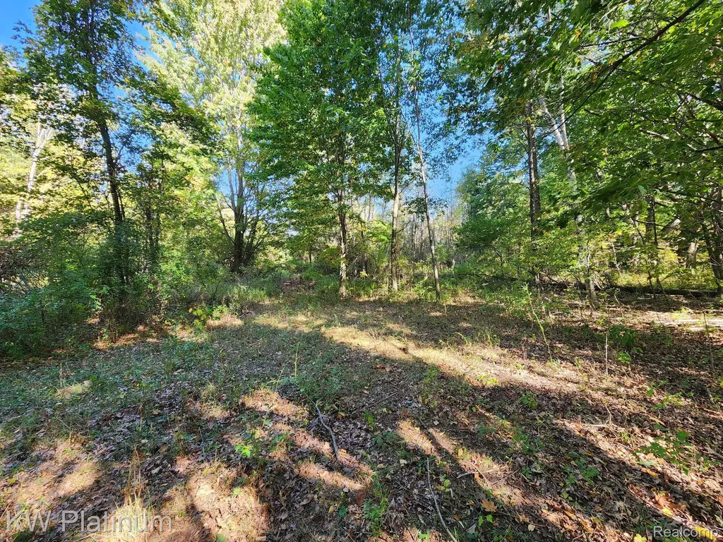8060 Brockway Road Melvin Village MI 48454