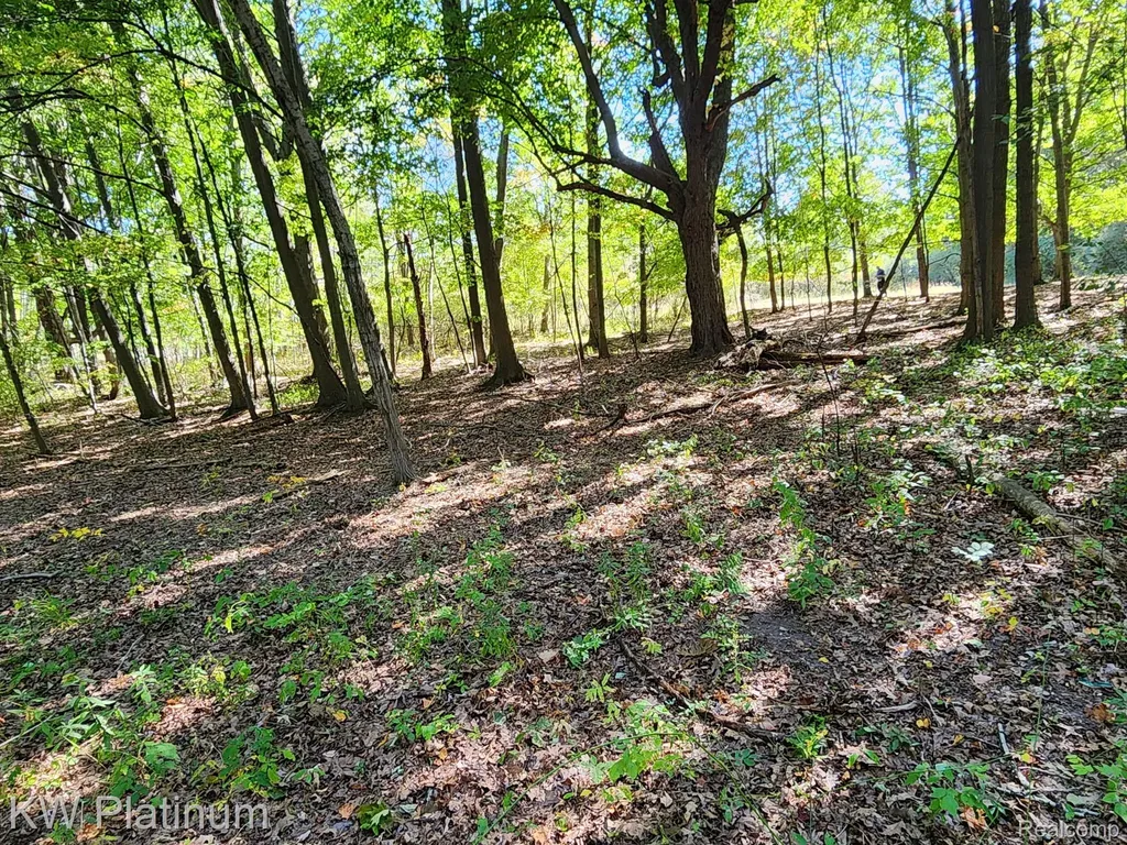 8060 Brockway Road Melvin Village MI 48454