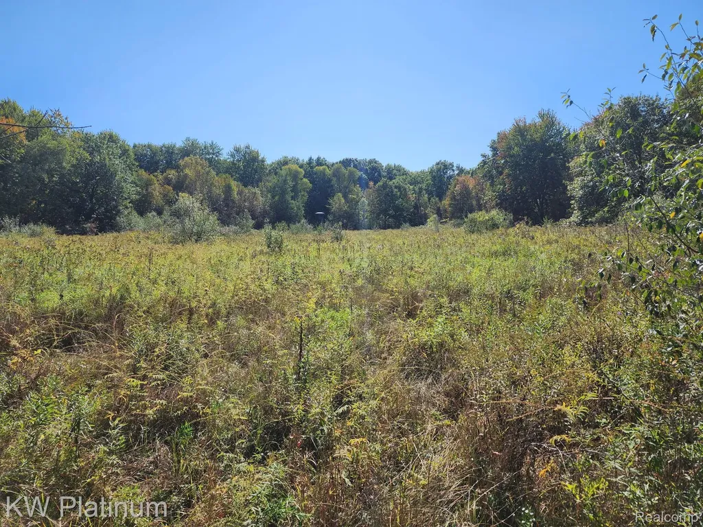 8060 Brockway Road Melvin Village MI 48454