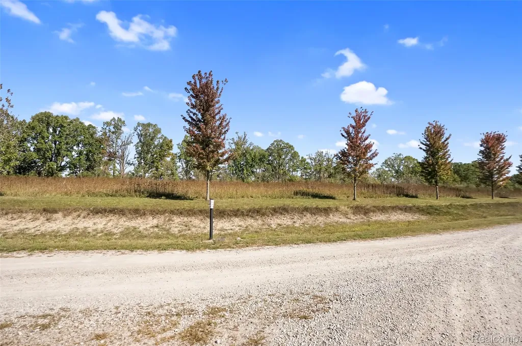 24701 Murray Lot D Drive Ray Township MI 48096