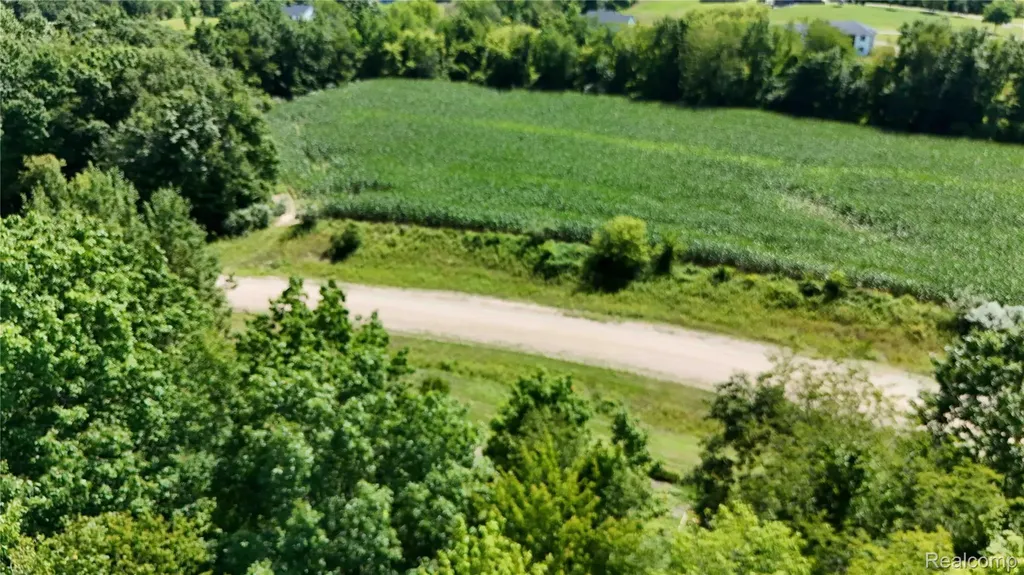 Parcel 9 Sycamore Street Dryden Township MI 48428