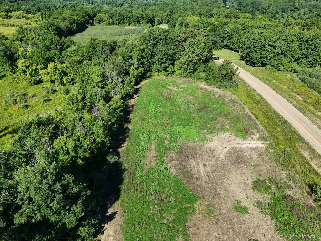Parcel 9 Sycamore Street Dryden Township MI 48428