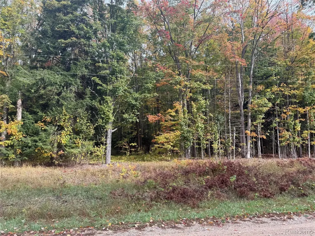 207 Wallace Road NE Rapid River Township MI 49612