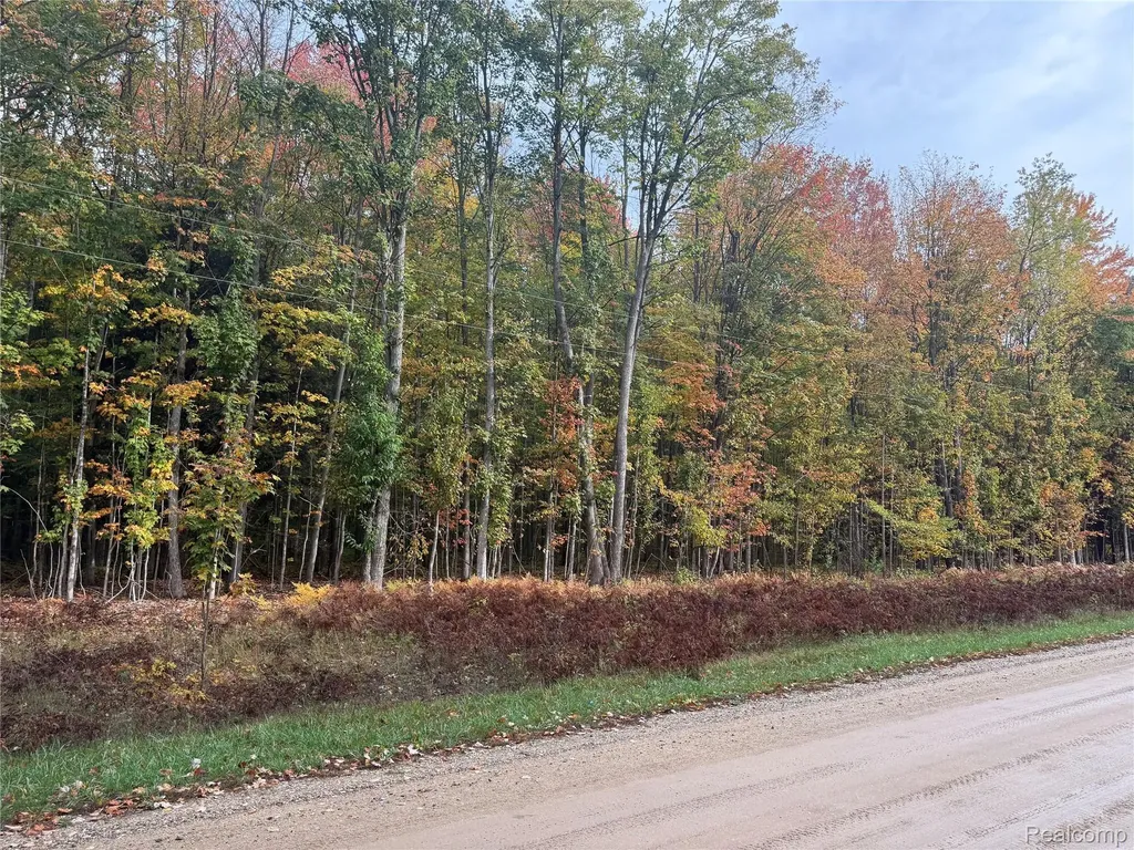 207 Wallace Road NE Rapid River Township MI 49612
