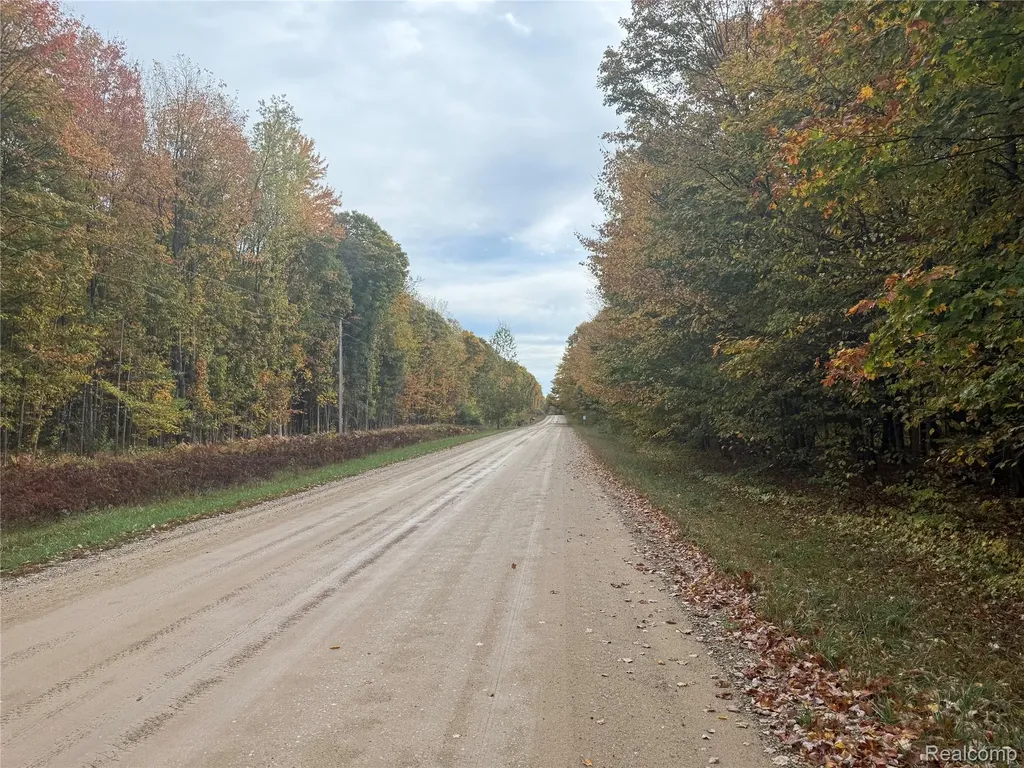 207 Wallace Road NE Rapid River Township MI 49612