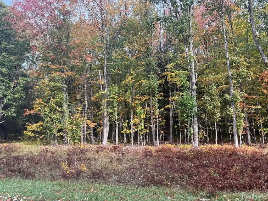 207 Wallace Road NE Rapid River Township MI 49612