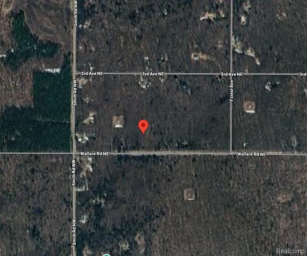 207 Wallace Road NE Rapid River Township MI 49612
