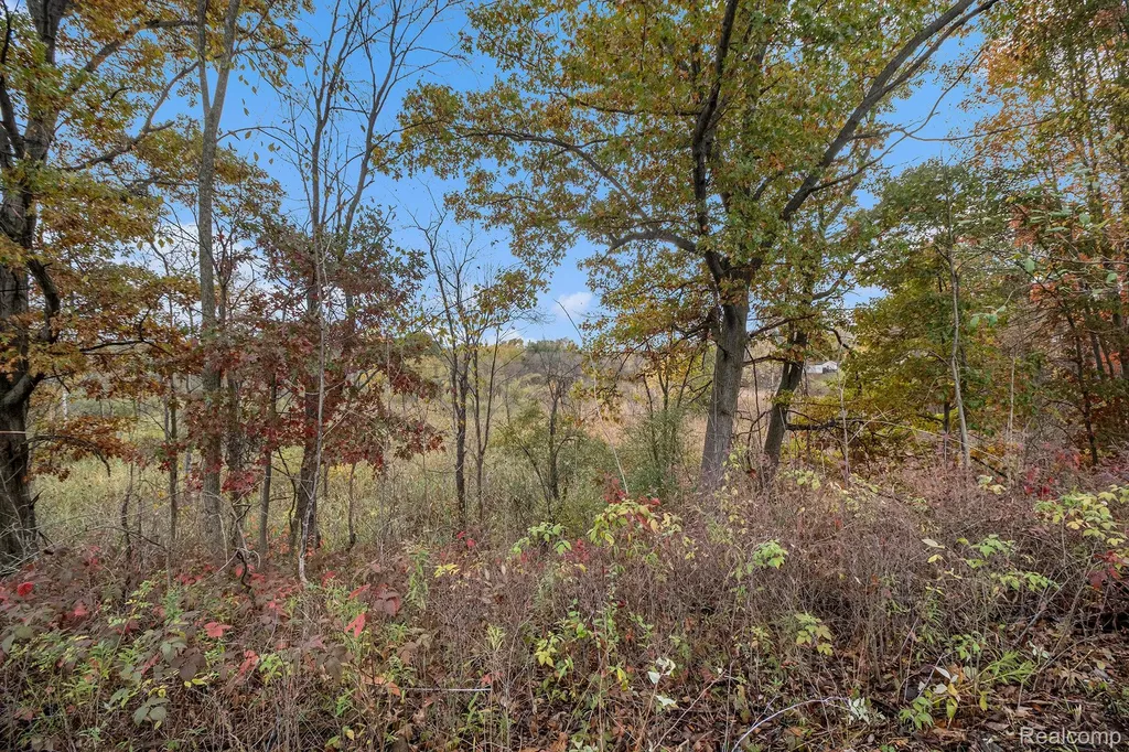 000 Markland Drive Rose Township MI 48442
