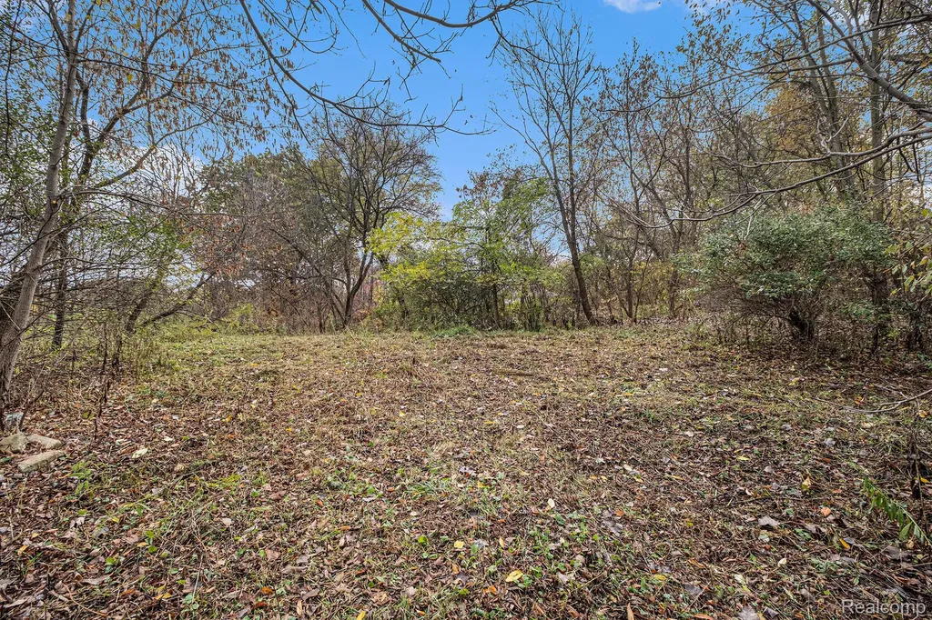 000 Markland Drive Rose Township MI 48442