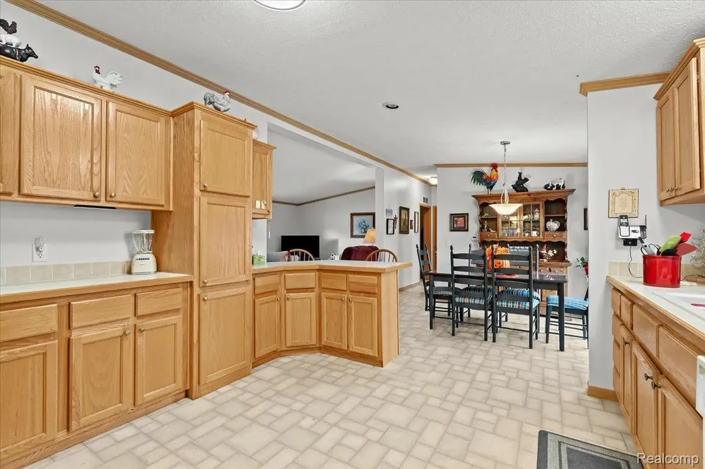 11092 Indianwood Court Green Oak Township MI 48178