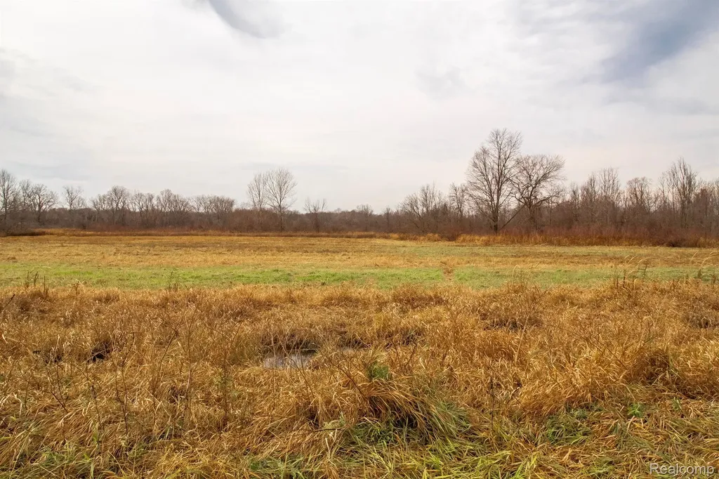 Vl Roods Lake Road Mayfield Township MI 48446