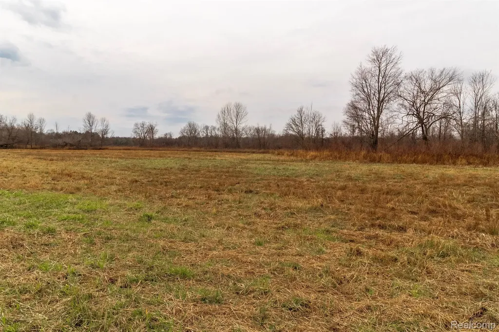 Vl Roods Lake Road Mayfield Township MI 48446