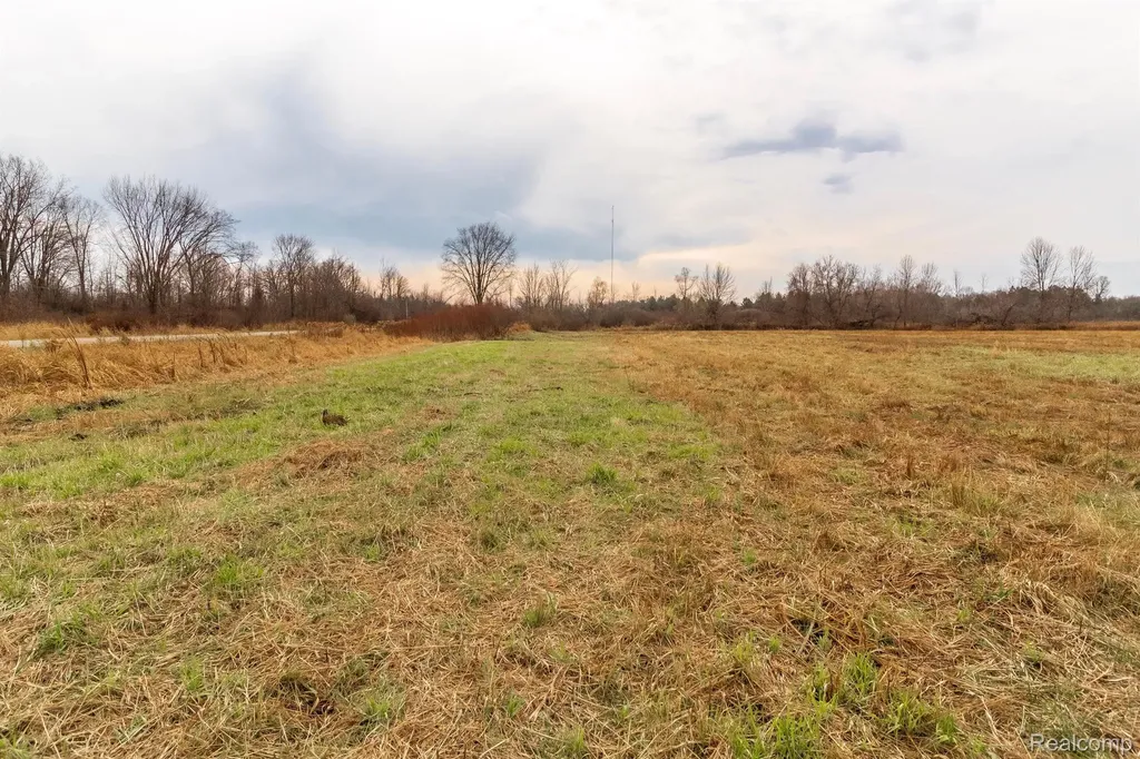 Vl Roods Lake Road Mayfield Township MI 48446
