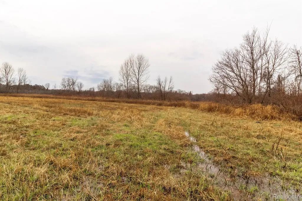 Vl Roods Lake Road Mayfield Township MI 48446