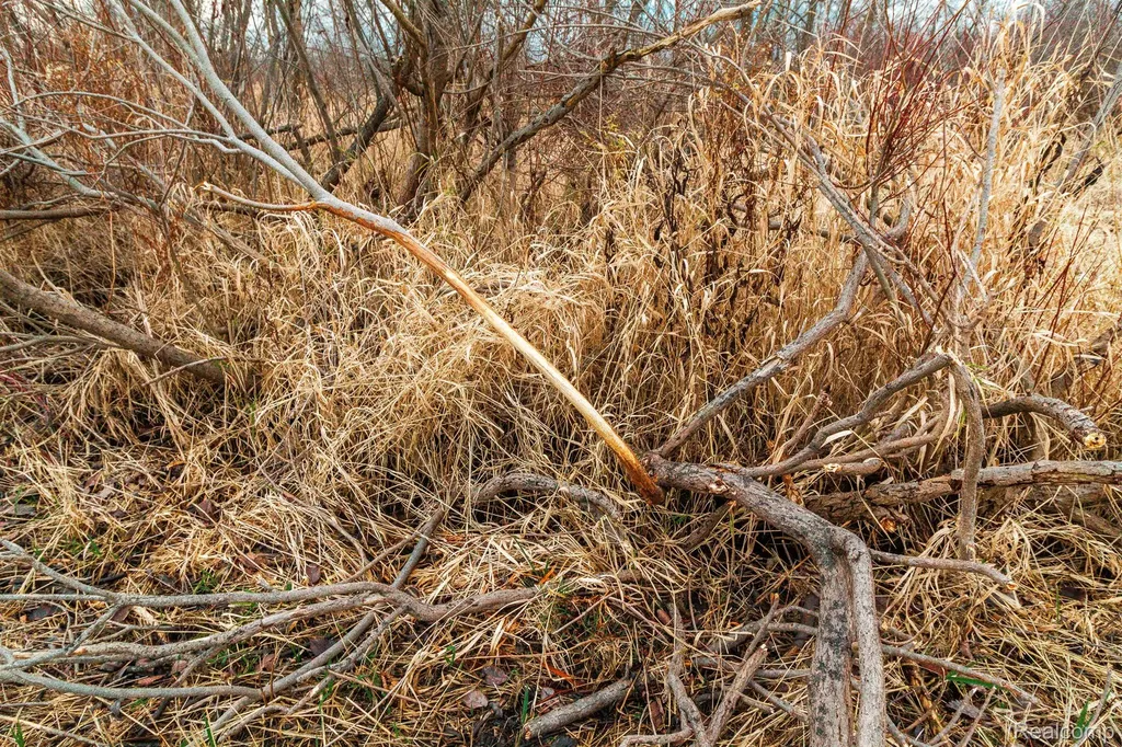 Vl Roods Lake Road Mayfield Township MI 48446