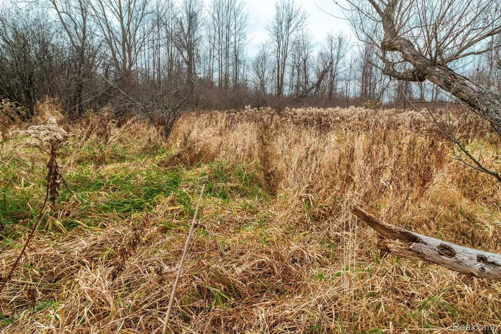 Vl Roods Lake Road Mayfield Township MI 48446