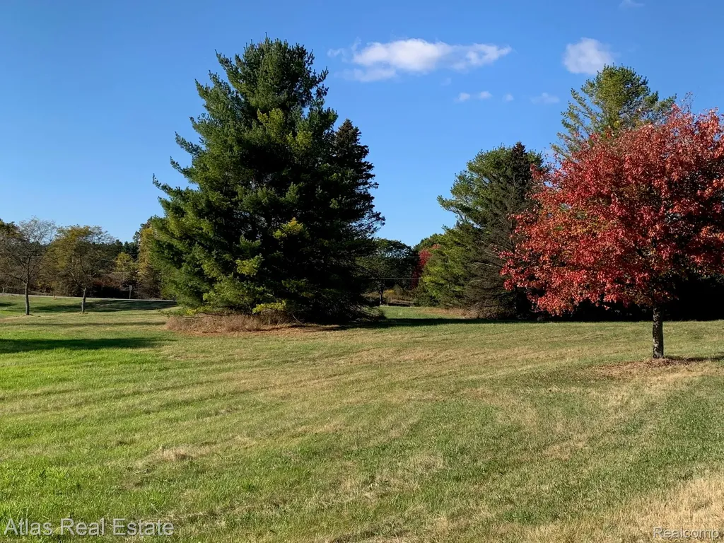 10020 Strawberry Trail Atlas Township MI 48438