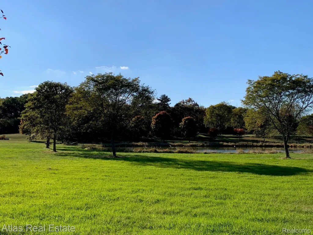 10020 Strawberry Trail Atlas Township MI 48438
