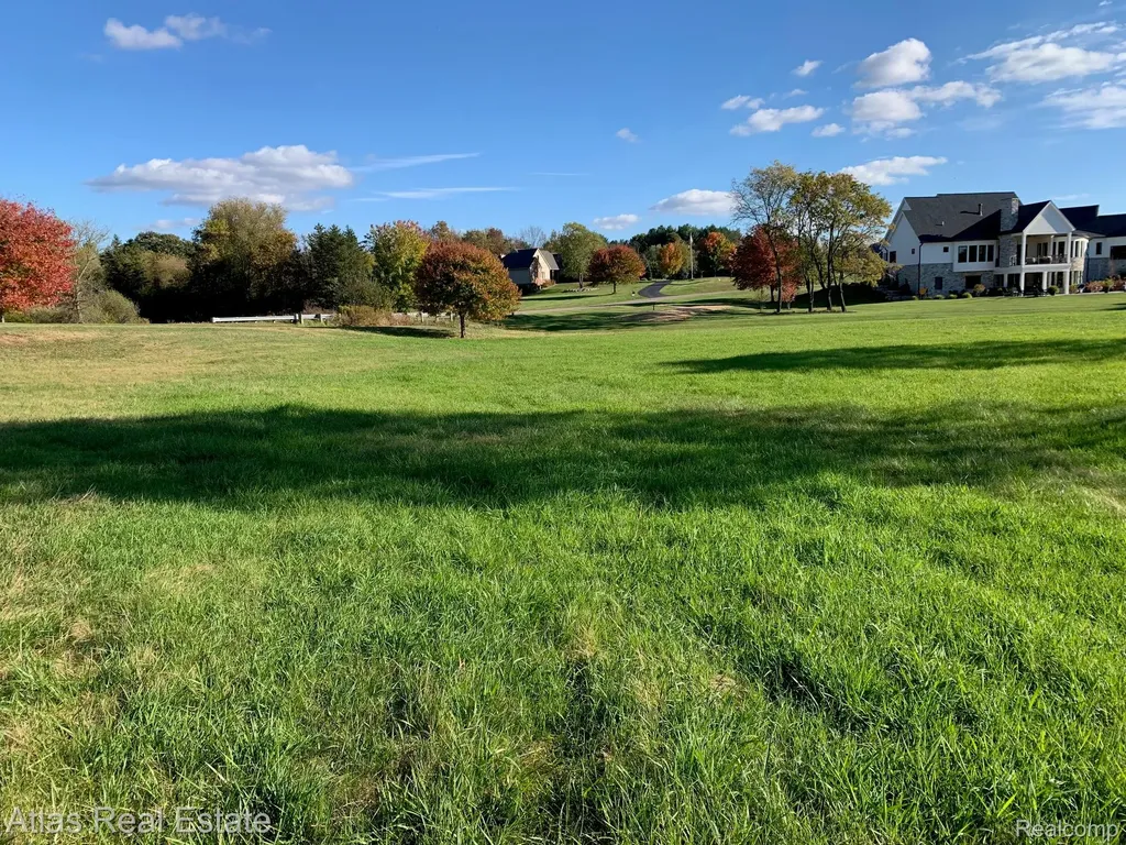 10020 Strawberry Trail Atlas Township MI 48438