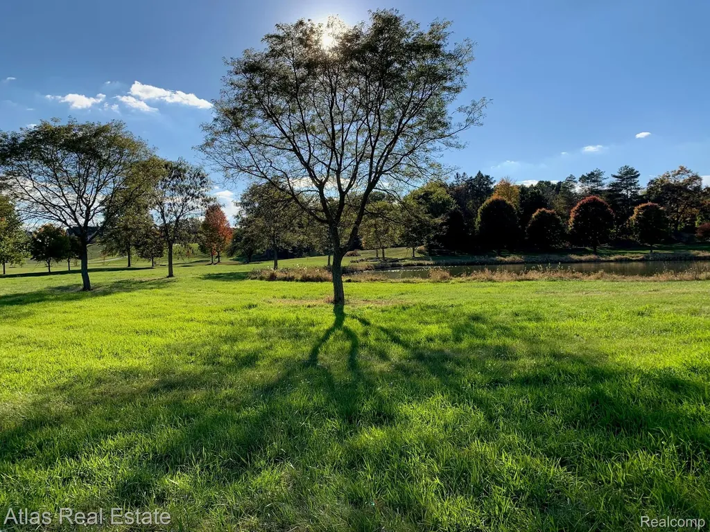 10020 Strawberry Trail Atlas Township MI 48438