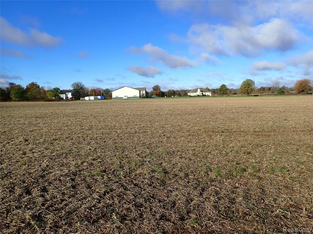 0 Hayner Road Conway Township MI 48836