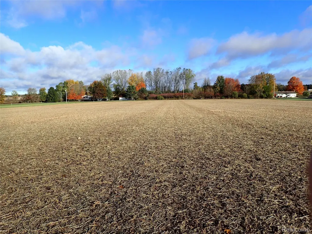 0 Hayner Road Conway Township MI 48836