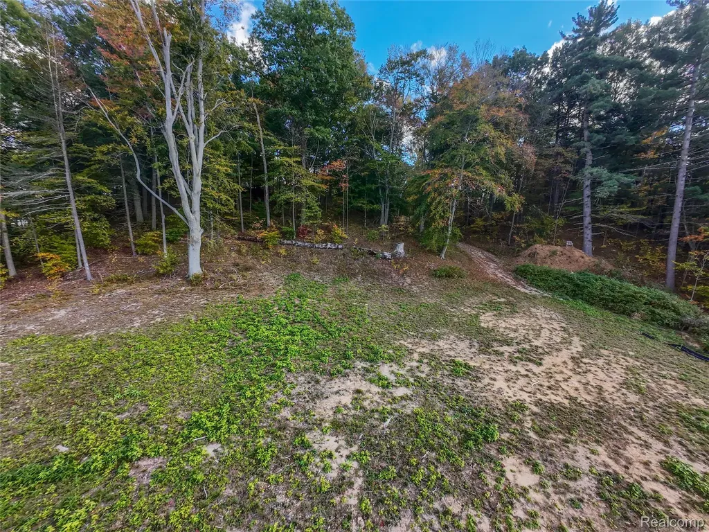 4720 Brunk Drive Otter Lake Village MI 48464