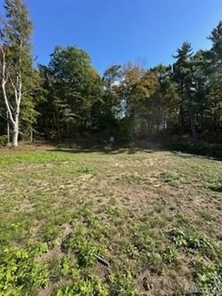 4720 Brunk Drive Otter Lake Village MI 48464