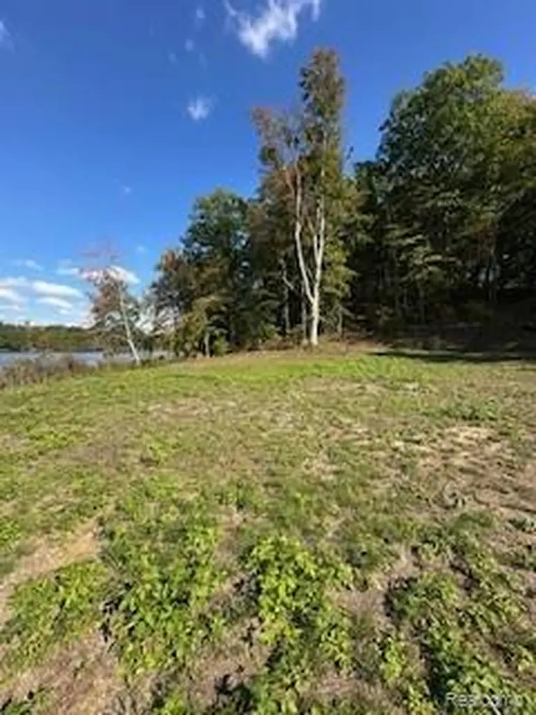 4720 Brunk Drive Otter Lake Village MI 48464