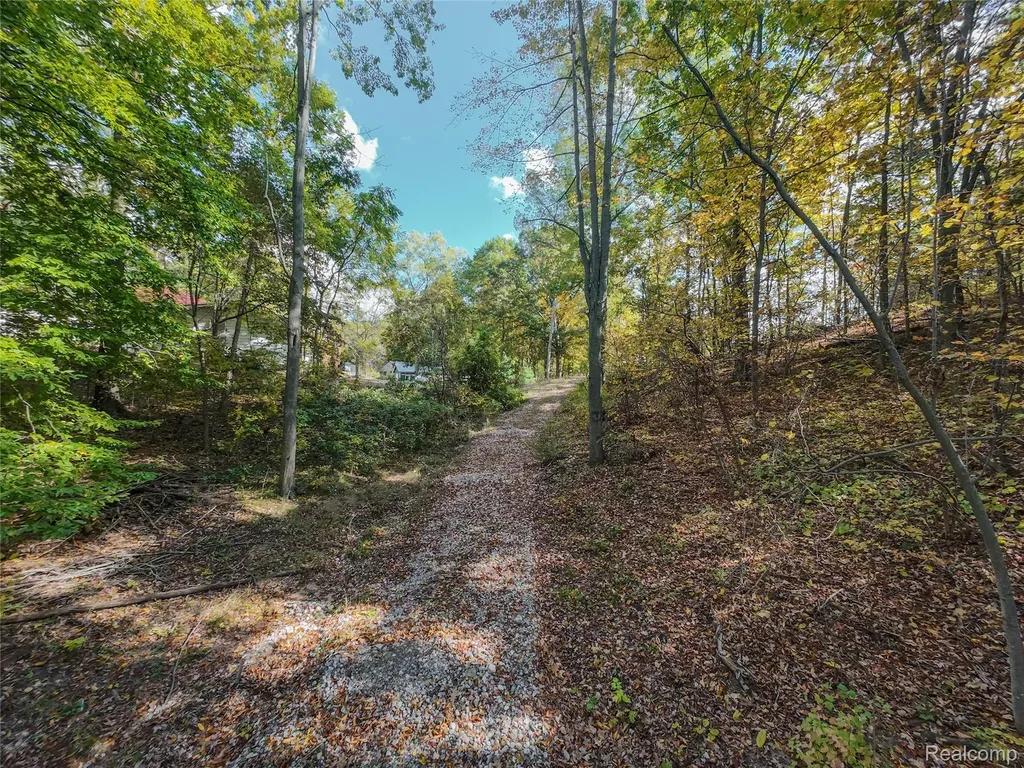 4720 Brunk Drive Otter Lake Village MI 48464