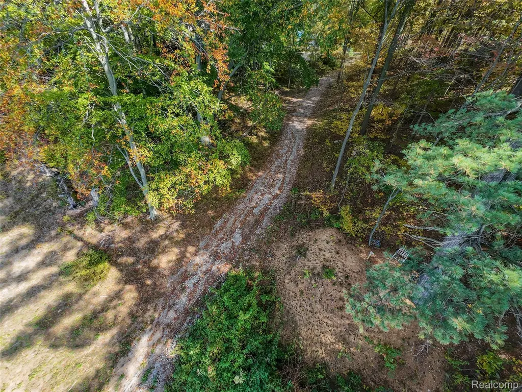 4720 Brunk Drive Otter Lake Village MI 48464