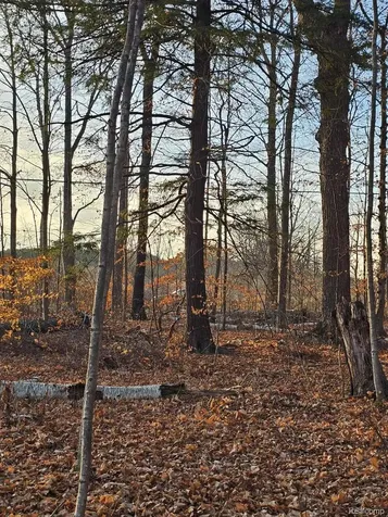 00 N Lakeshore Drive Forester Township MI 48427