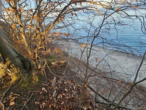 00 N Lakeshore Drive Forester Township MI 48427