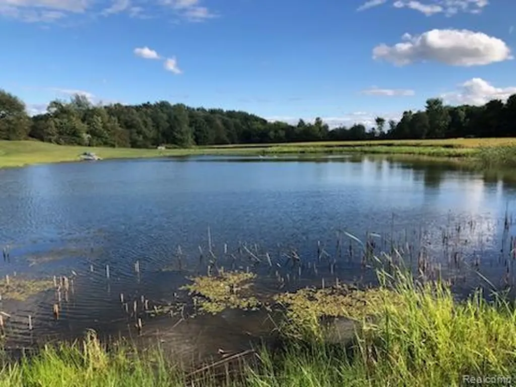 10374 Wilson Road Otisville Village MI 48463