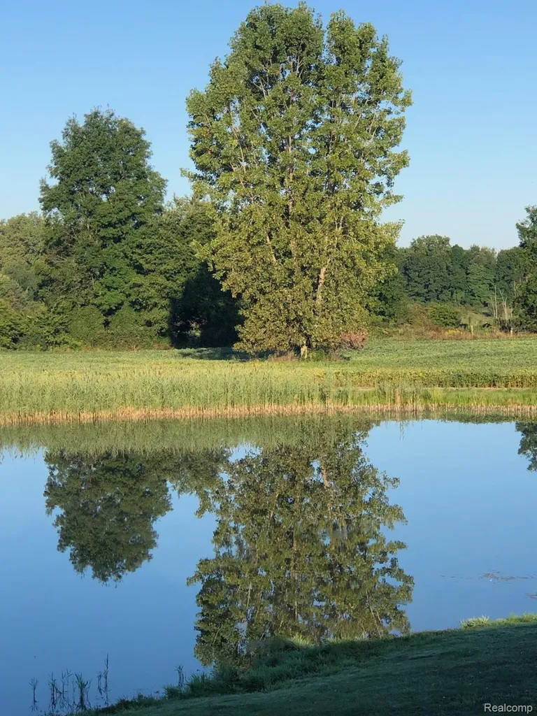 10374 Wilson Road Otisville Village MI 48463